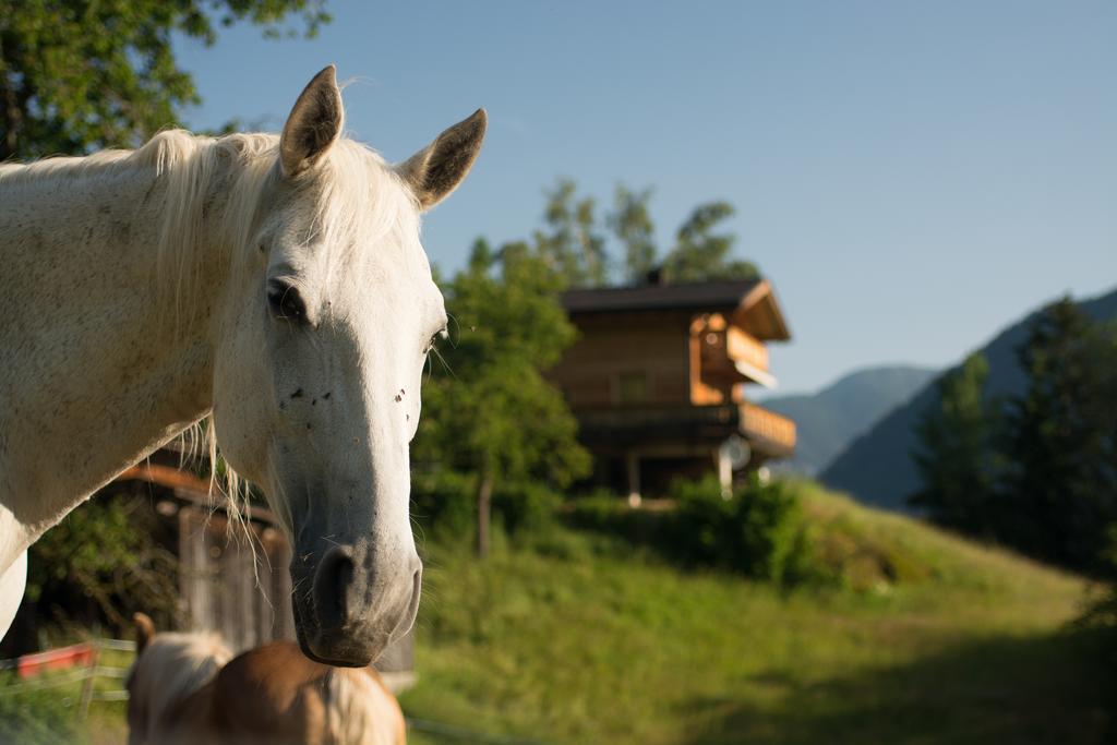 Ferienhaus Oetztal Sautens Eksteriør billede