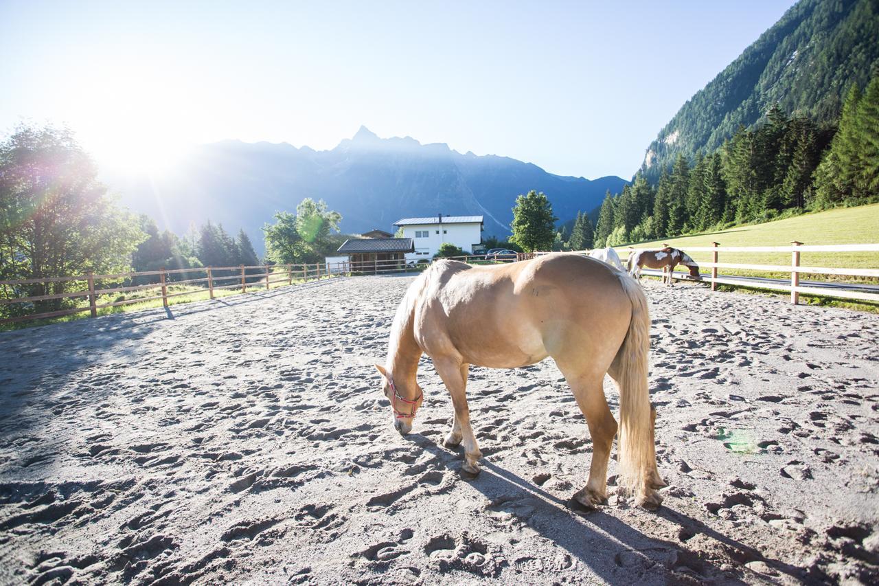 Ferienhaus Oetztal Hotel Sautens Eksteriør billede